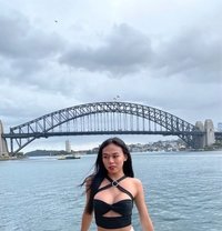 Brianna - Transsexual escort in Cebu City