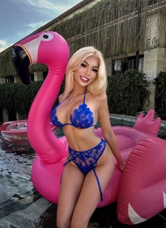 Brianna Skye ( FAMOUS ONLYFANS MODEL ! ) - escort in Bangkok Photo 28 of 30