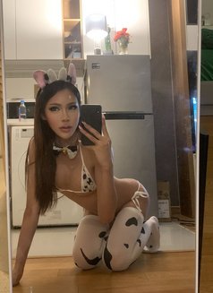 Brianna - Transsexual companion in Bangkok Photo 9 of 11