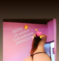 Brisa - escort in Quito