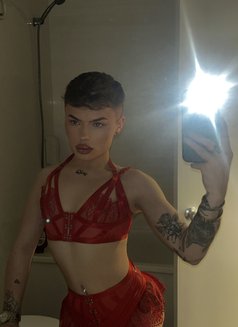 British cute Ollie - Male escort in Norwich Photo 13 of 13