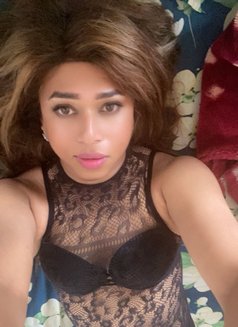 British Pakistani shemale with 8”Monster - Male escort in Dubai Photo 2 of 8