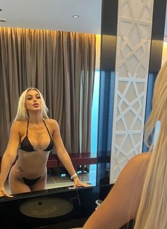 British Porn Star Sofia - escort in Dubai Photo 3 of 13