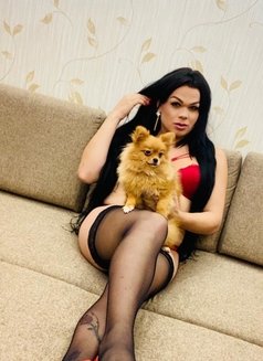 Brittany - Transsexual escort in Moscow Photo 2 of 6
