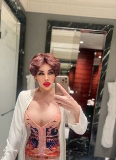 Top good / bottom big dick 69 - Acompañantes transexual in Al Manama Photo 11 of 16