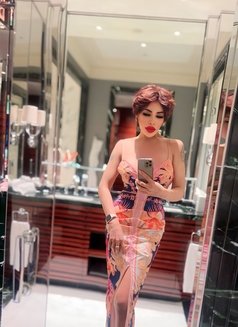 Top good / bottom fuck nice dick 69 - Transsexual escort in Al Manama Photo 13 of 18