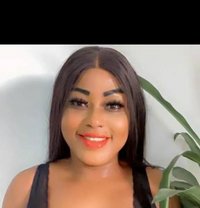 Brown - escort in Cotonou