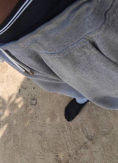 Brown Hammer - Male companion in Accra Photo 1 of 2