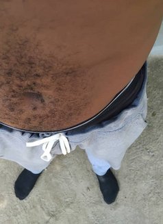 Brown Hammer - Male companion in Accra Photo 2 of 2