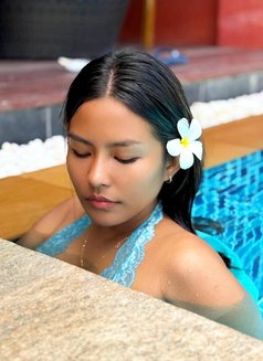 Brownie Bell - escort in Phuket Photo 9 of 14