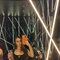 Brunette Luxury Party Model - escort in Dubai Photo 4 of 9