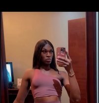 🦋Bubbles🦋 - Transsexual escort in Lagos, Nigeria