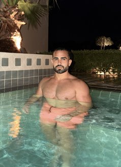 Bugatti Curve - Male escort in Al Manama Photo 10 of 10