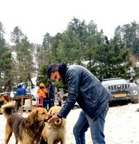 Buggy - Male escort in Chandigarh