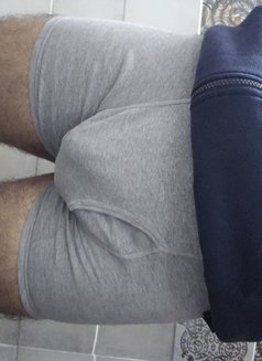 Bull 7 Inch + massager - Male escort in New Delhi Photo 7 of 7