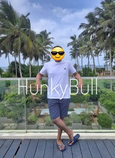 Bull for Ladies | Cuckold | Couples - Male escort in Colombo Photo 3 of 10