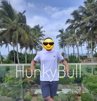 Bull for Ladies | Cuckold | Couples - Male escort in Colombo