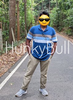 Bull for Ladies | Cuckold | Couples - Male escort in Colombo Photo 8 of 10