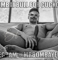 Bull for Only Cuckold Couple & Milf DM - Male escort in Pune
