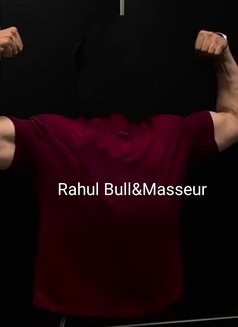 Bull in Mysore - Acompañantes masculino in Mysore Photo 3 of 5