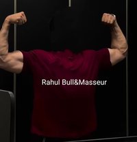 Bull in Mysore - Male escort in Mysore
