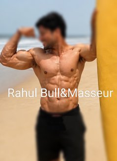Bull in Mysore - Acompañantes masculino in Mysore Photo 4 of 5
