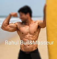 Bull in Mysore - Acompañantes masculino in Mysore