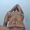 Genuine BULL | Ladies | Curvy | Matures - Male escort in Colombo Photo 3 of 10