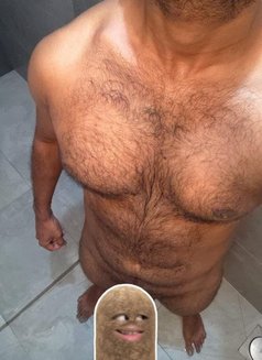 Bull /One day husband/Lovely Boyfriend - Acompañantes masculino in Colombo Photo 6 of 6