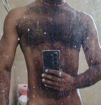 Bull - Male escort in Colombo