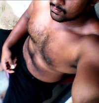 Bull With 8 Inch - Male escort in Colombo