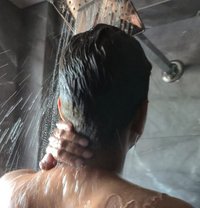 Bull in Udaipur Jaipur - Acompañantes masculino in Udaipur