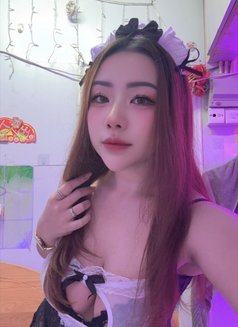 Bumblebee. New Escort in Phuket - escort in Phuket Photo 6 of 7