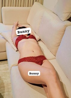 Bunny - puta in Colombo Photo 5 of 11