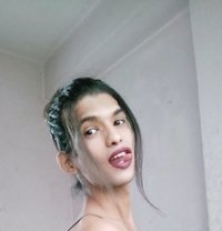 🧚🏻‍♀️Bunny-Girl🧚🏻‍♀️ - Transsexual escort in Pune