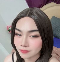 Bunny Ladyboy Massage - Transsexual escort in Muscat