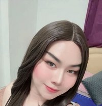 Bunny Ladyboy Massage - Transsexual escort in Muscat
