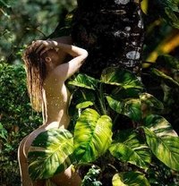 Bunny Models - escort agency in Maldives