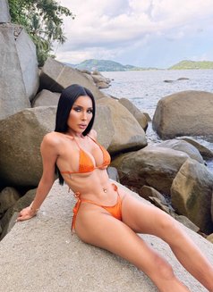 Bunny Ninew - escort in Koh Phangan Photo 2 of 4