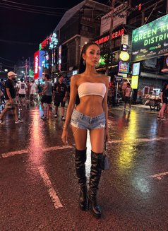 Bunny Ninew - escort in Phuket Photo 3 of 7