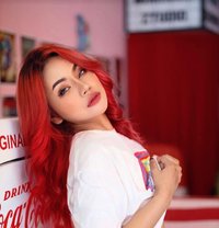 Bunny Famous Port Star (340K Followers) - escort in Bangkok