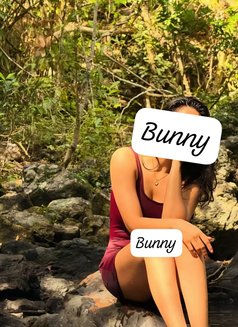 Bunny - escort in Colombo Photo 12 of 15