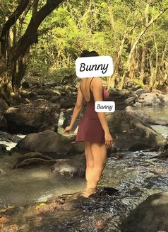 Bunny - escort in Colombo Photo 13 of 15