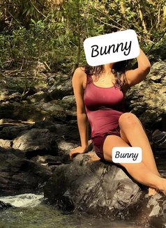 Bunny - escort in Colombo Photo 14 of 15