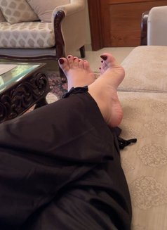 Bunny Vacation in Al Khoud 66 - Transsexual escort in Chennai Photo 1 of 9
