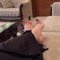 Bunny Vacation in Al Khoud 66 - Transsexual escort in Chennai