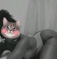 Bunny. X - escort in Nairobi