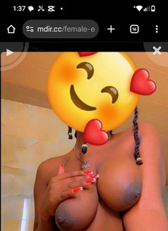 BUSHIRA NEW ARRIVAL FROM JUHU - escort in Mumbai Photo 9 of 9