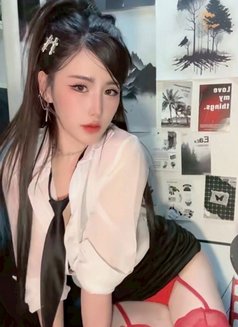 Busty Bangkok Escort Girl - escort in Bangkok Photo 17 of 19