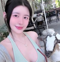 Busty Mistress Mia - escort in Amsterdam